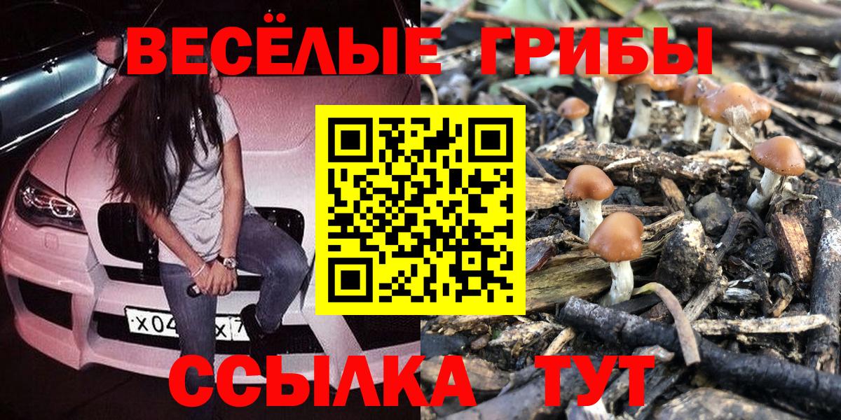 Галлюциногенные грибы GOLDEN TEACHER  наркотики  Новокубанск  Вход с VPN  Галлюциногенные грибы Psilocybine cubensis 